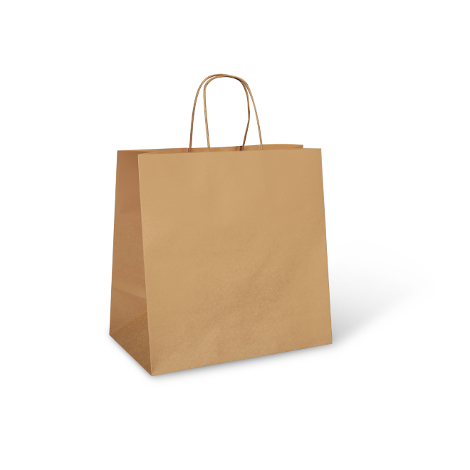 UBER (L) TWIST HANDLE BAG 305X305X175 QTY 250