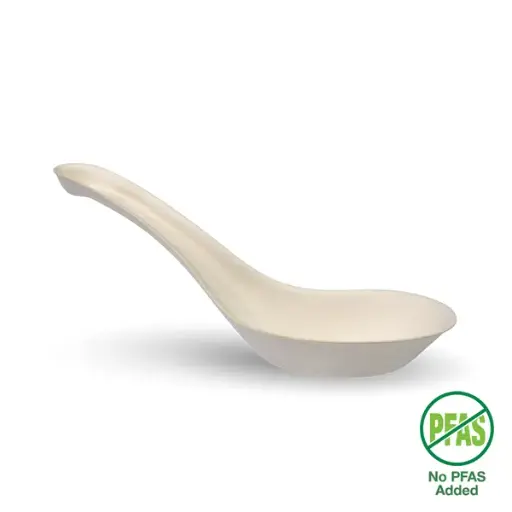 CHINESE SOUP SPOON 14CM QTY 1000/125