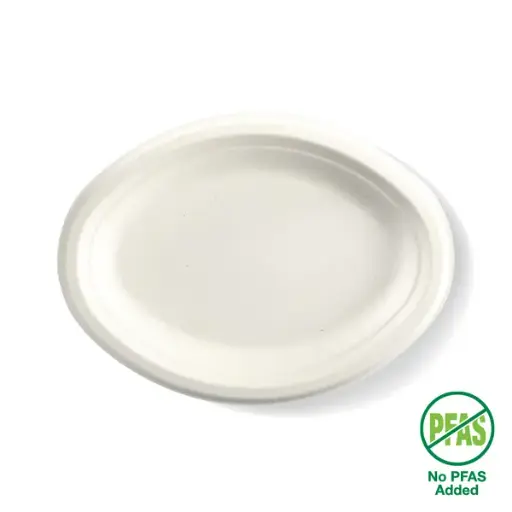PLATE 10 INCH (26X19CM) OVAL QTY 500/125