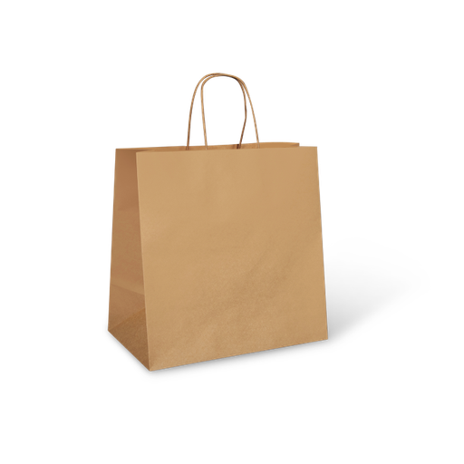 UBER (L) TWIST HANDLE BAG 305X305X175 QTY 250